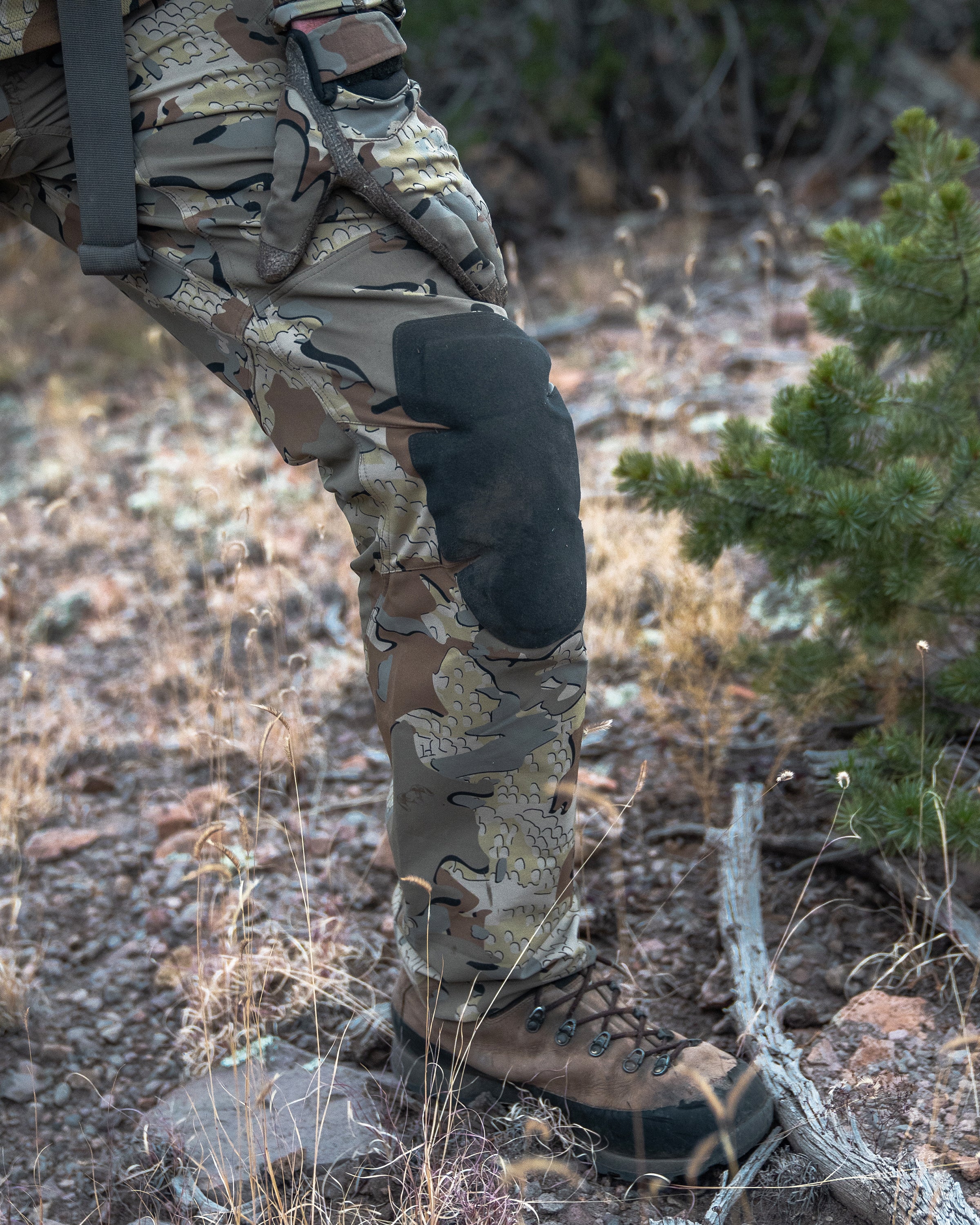 PRO Pant | Verde - Image 5